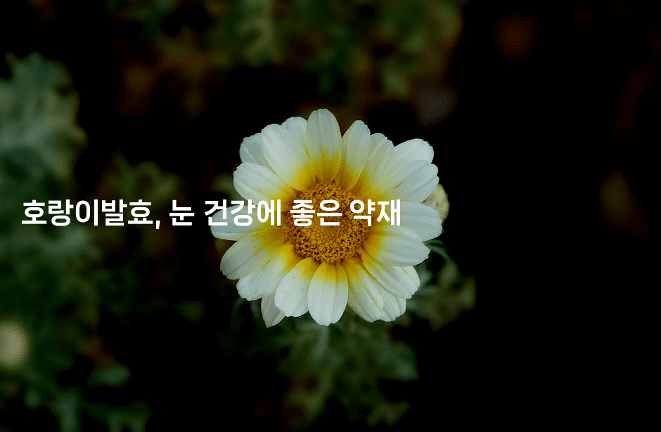호랑이발효, 눈 건강에 좋은 약재
2-한방스윗홈
