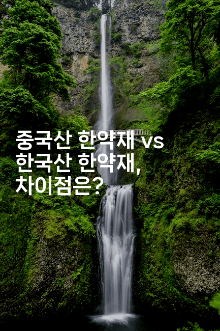 중국산 한약재 vs 한국산 한약재, 차이점은?
-한방스윗홈