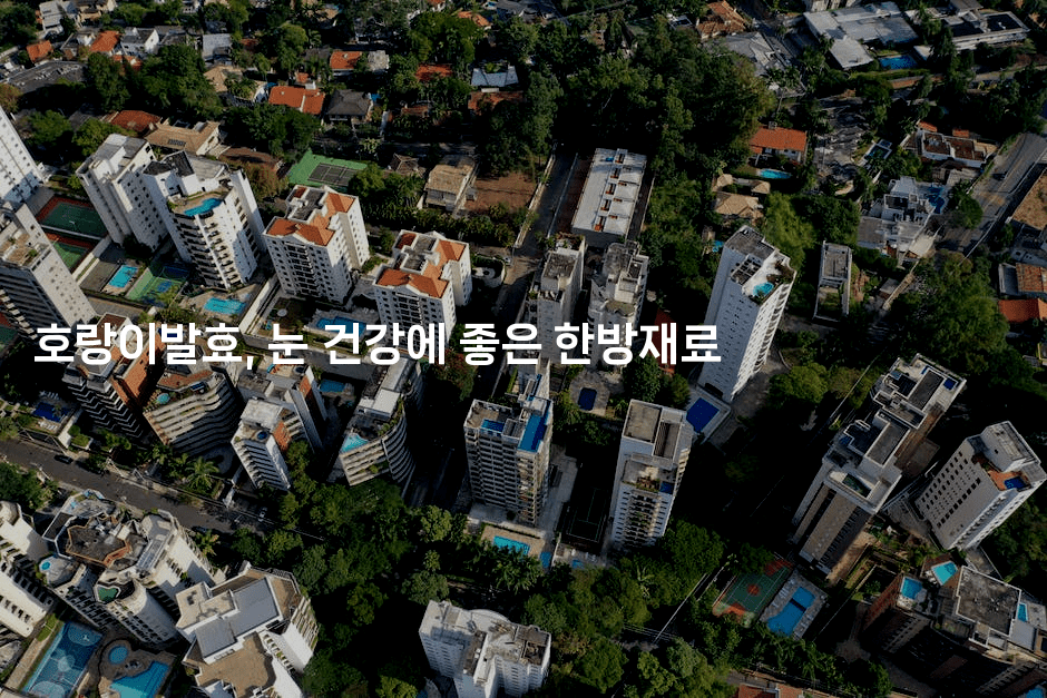 호랑이발효, 눈 건강에 좋은 한방재료
2-한방스윗홈