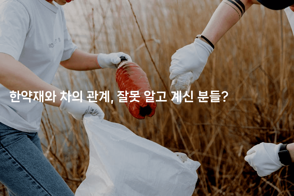 한약재와 차의 관계, 잘못 알고 계신 분들?
-한방스윗홈