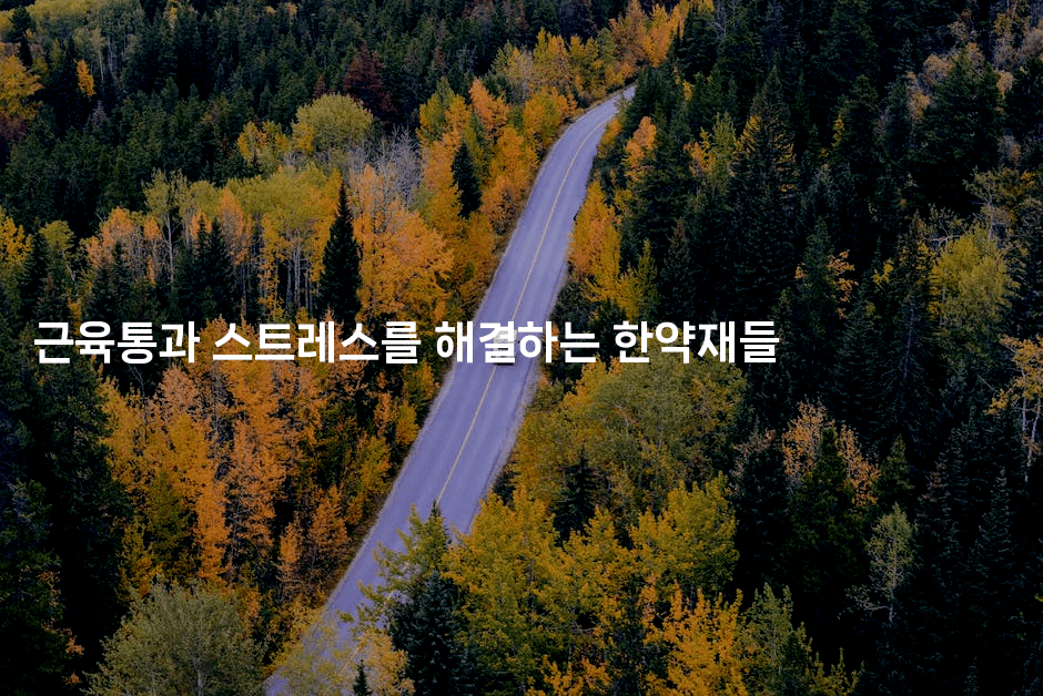 근육통과 스트레스를 해결하는 한약재들
2-한방스윗홈