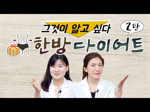 [식약보감 6편] 한방 다이어트, 그것이 알고싶다 2탄