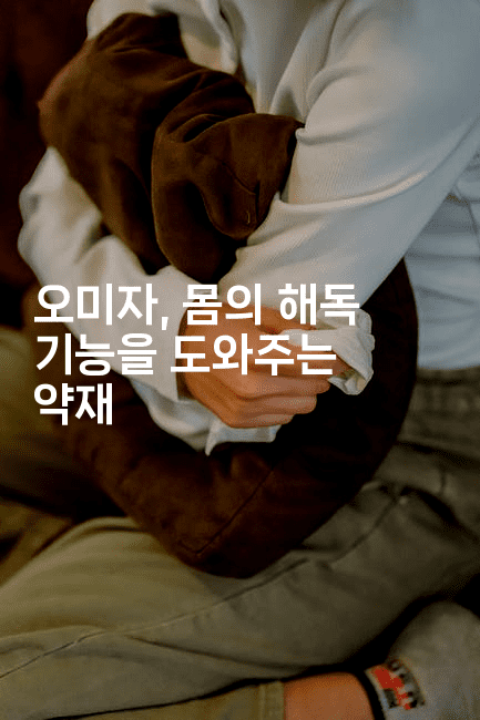 오미자, 몸의 해독 기능을 도와주는 약재
2-한방스윗홈