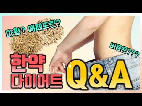 한약 다이어트 Q&A 정리! 페인랩이 말하는 다이어트 이야기