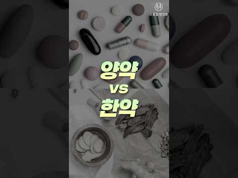 ??‍♀️다이어트 한약 vs 양약 장단점 총정리!