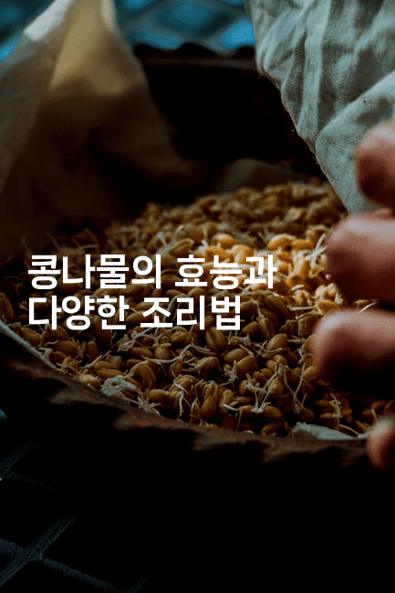 콩나물의 효능과 다양한 조리법