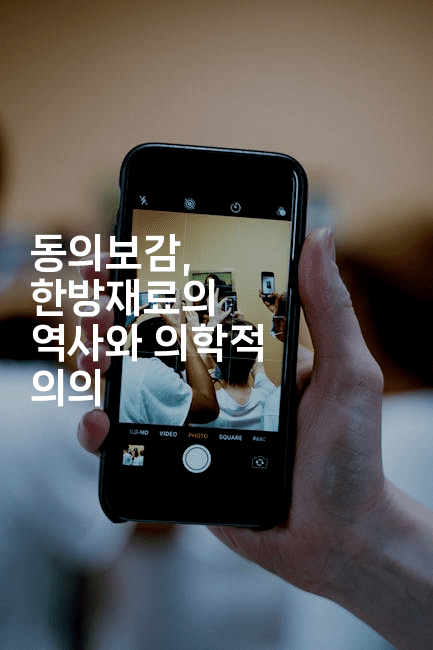 동의보감, 한방재료의 역사와 의학적 의의