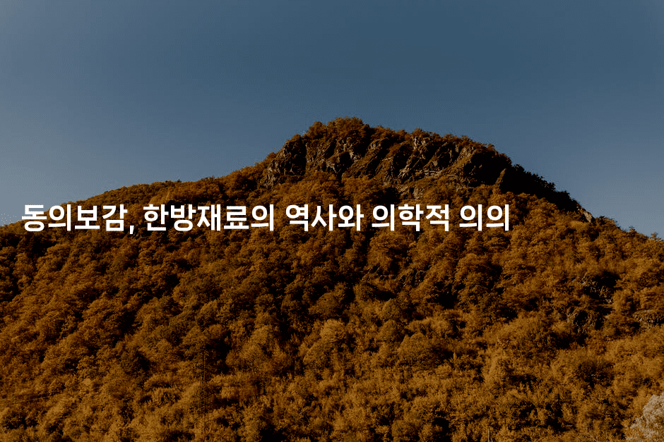 동의보감, 한방재료의 역사와 의학적 의의
2-한방스윗홈