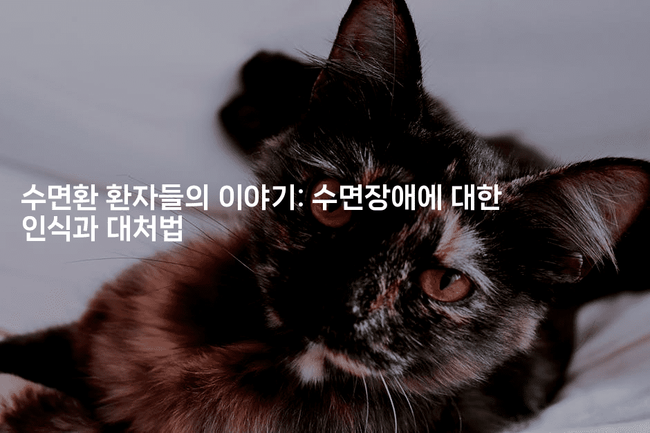 수면환 환자들의 이야기: 수면장애에 대한 인식과 대처법-한방스윗홈