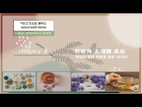 한방차 소재별 효능