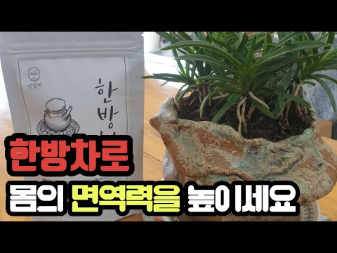 선엽스님의 수제한방차 소개