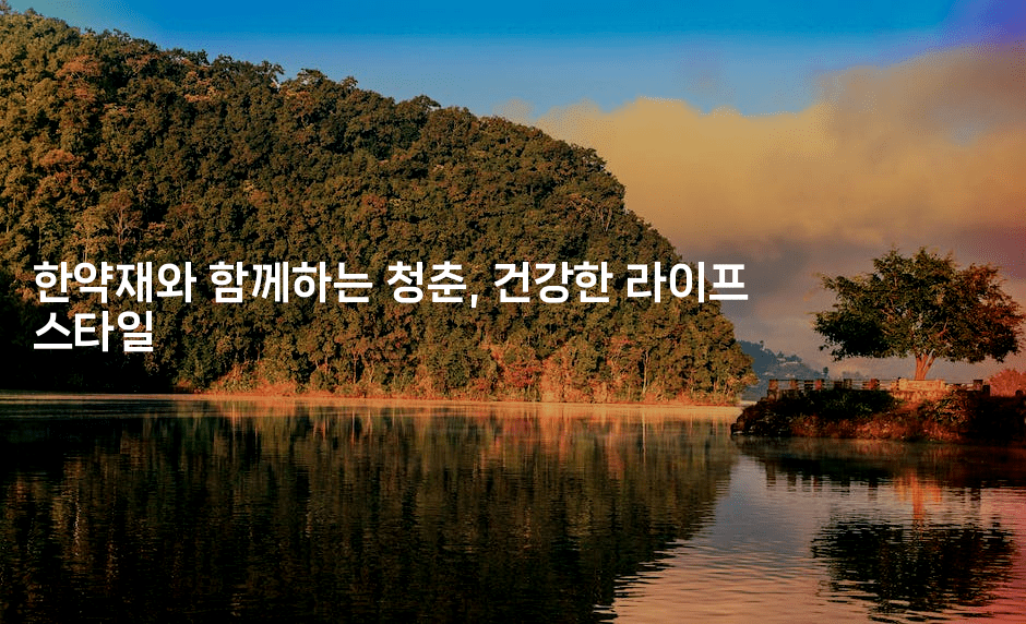 한약재와 함께하는 청춘, 건강한 라이프 스타일