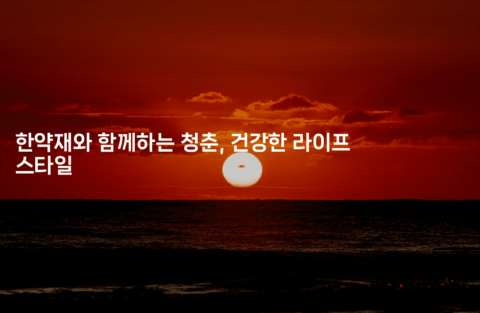 한약재와 함께하는 청춘, 건강한 라이프 스타일
2-한방스윗홈