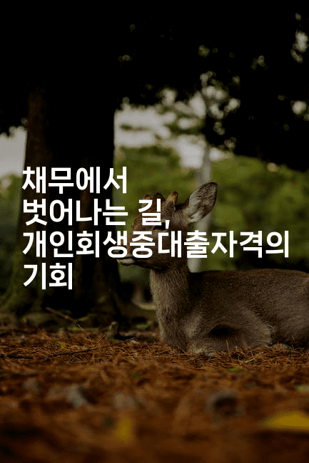 채무에서 벗어나는 길, 개인회생중대출자격의 기회-한방스윗홈