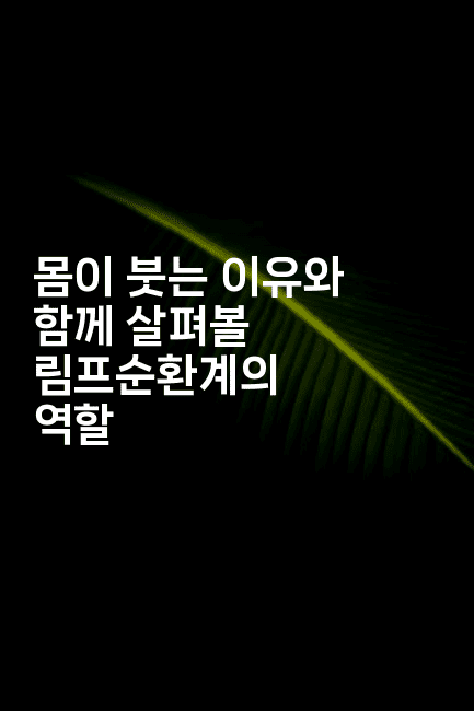 몸이 붓는 이유와 함께 살펴볼 림프순환계의 역할2-한방스윗홈