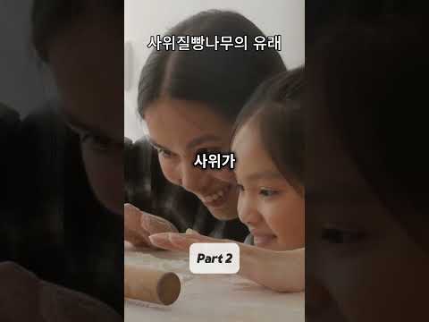 한방차 소개 : 사위질빵나무의 유래2 #시원한tv #한의학 #한방차 #koreantea