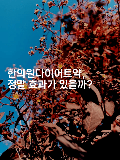 한의원다이어트약, 정말 효과가 있을까? 2-한방스윗홈