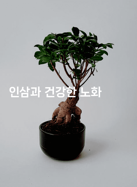 인삼과 건강한 노화
-한방스윗홈