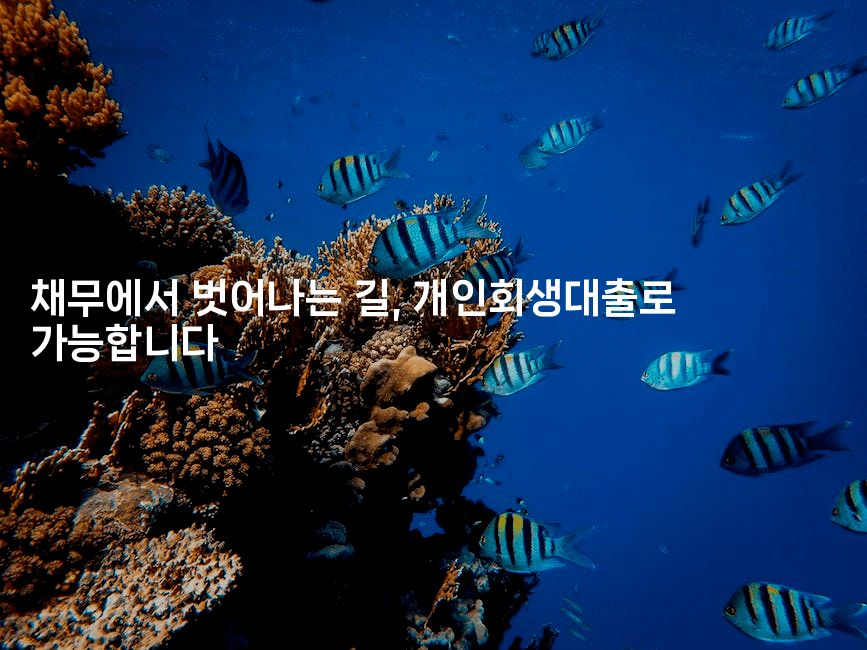 채무에서 벗어나는 길, 개인회생대출로 가능합니다-한방스윗홈