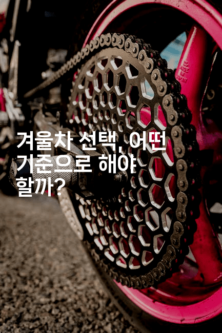 겨울차 선택, 어떤 기준으로 해야 할까? -한방스윗홈