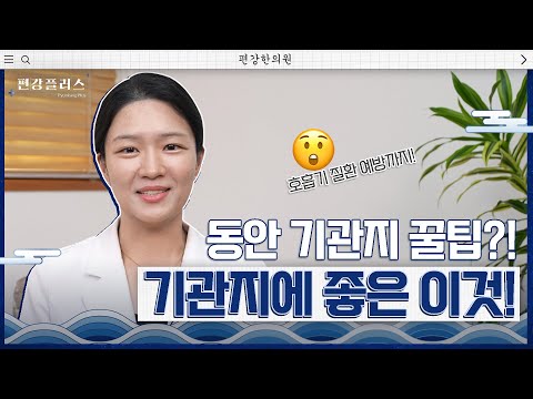 [편강플러스] 기관지에 좋은 음식과 한방차 TOP 6✨ 호흡기 건강밥상 대공개? | 편강한의원 산본점 강하원 원장님