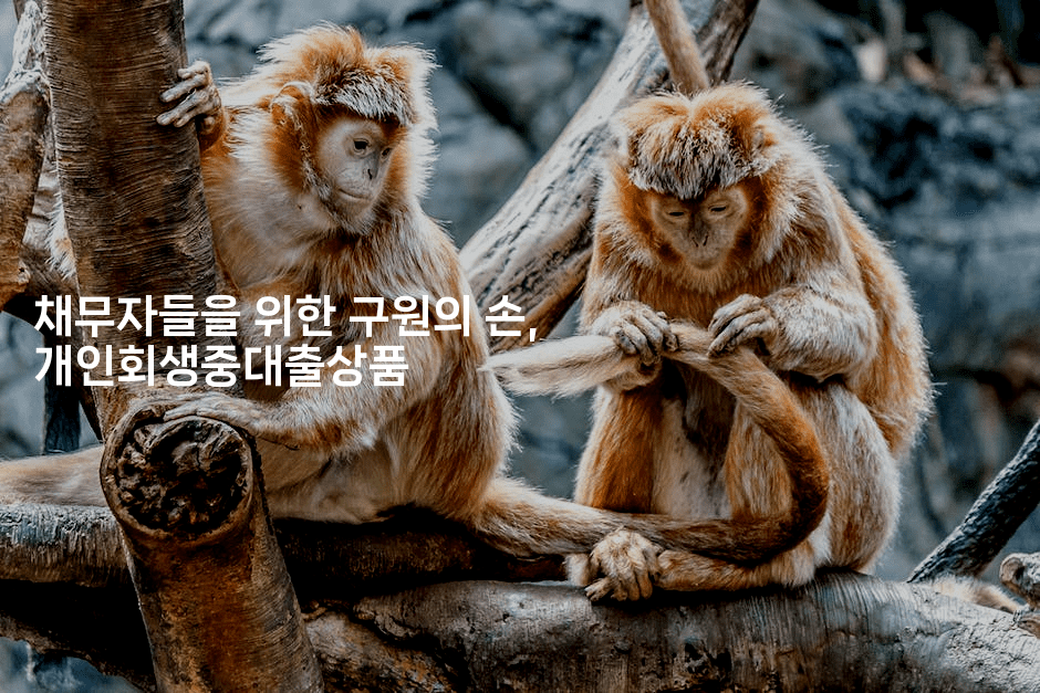 채무자들을 위한 구원의 손, 개인회생중대출상품-한방스윗홈