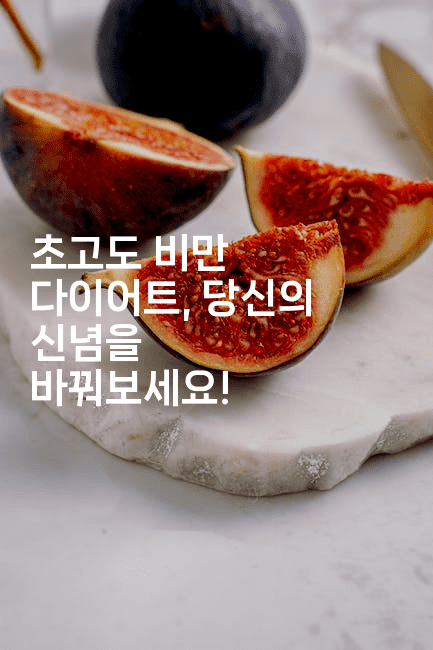 초고도 비만 다이어트, 당신의 신념을 바꿔보세요! 2-한방스윗홈