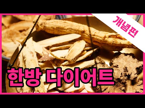 다이어트를 한방으로?? / 시술위키 한방다이어트 개념편