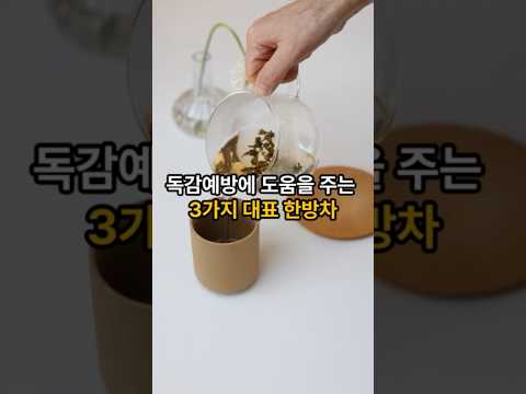 환절기 독감예방에 좋은 한방차 3가지를 소개합니다. 건강한 생활습관 만들기#독감예방#한방차#면역력높이는법