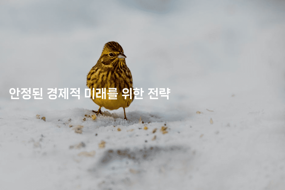 안정된 경제적 미래를 위한 전략-한방스윗홈