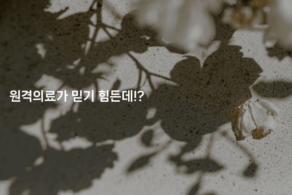 원격의료가 믿기 힘든데!?2-한방스윗홈