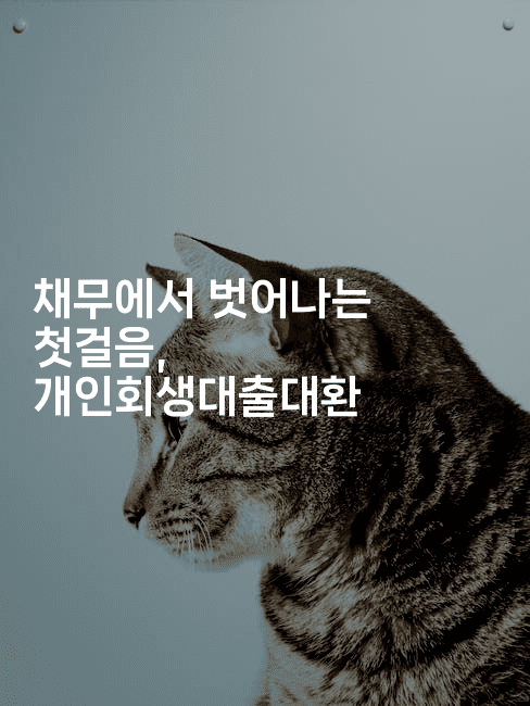 채무에서 벗어나는 첫걸음, 개인회생대출대환-한방스윗홈